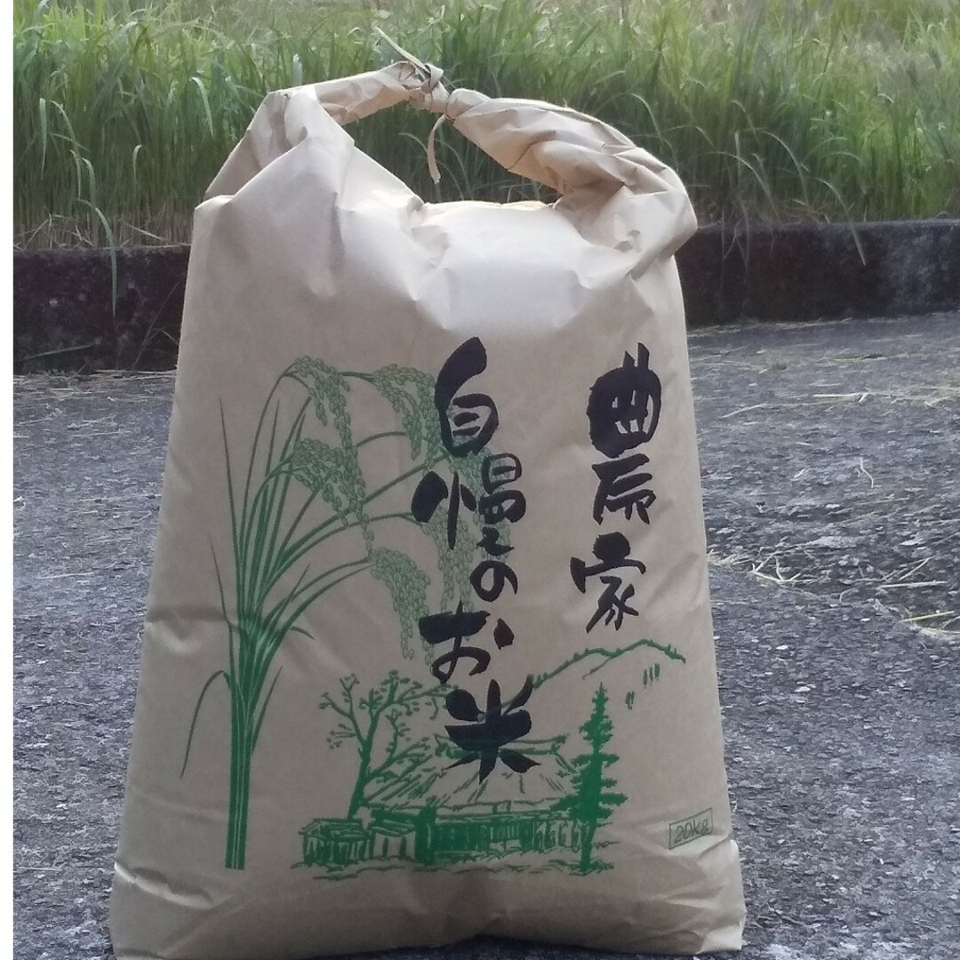 食品/飲料/酒令和5年度 大分県産 ヒノヒカリ 玄米20kg