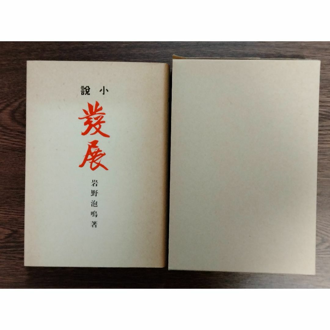 「発展　著：岩野泡鳴」　特選名著複刻全集　近代文学館 エンタメ/ホビーの本(文学/小説)の商品写真