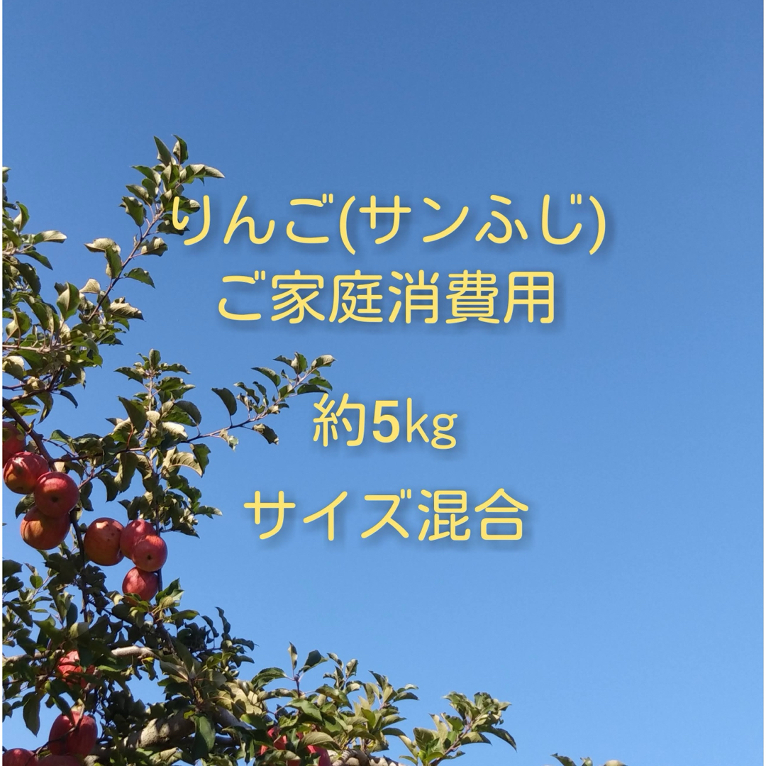 りんご(サンふじ)訳ありご家庭消費用 約5kg 食品/飲料/酒の食品(フルーツ)の商品写真