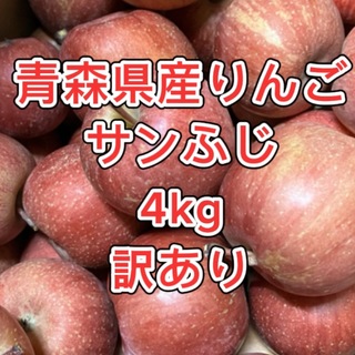 【産地直送】青森県産りんご  家庭用  4kg(フルーツ)