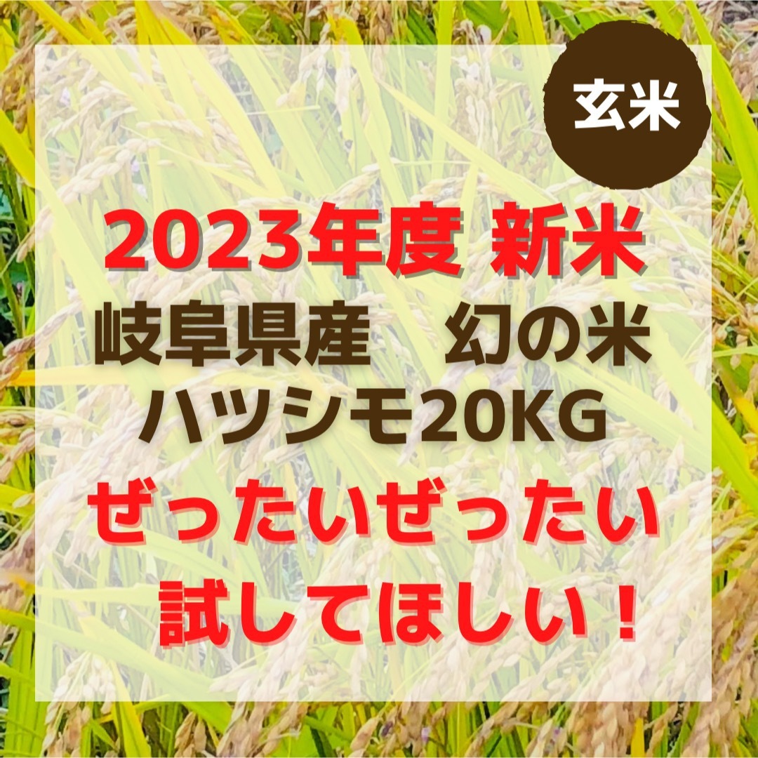 2023年度　幻の米 岐阜県産ハツシモ20kg米/穀物