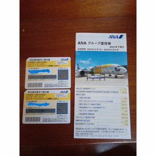 ANA　株主優待　２枚   有効期間 2024年11月30日(航空券)