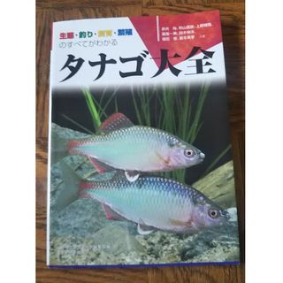 ＩＭＯ標準海事航海英語 術語と会話 改訂増補３版/成山堂書店/石川晴一