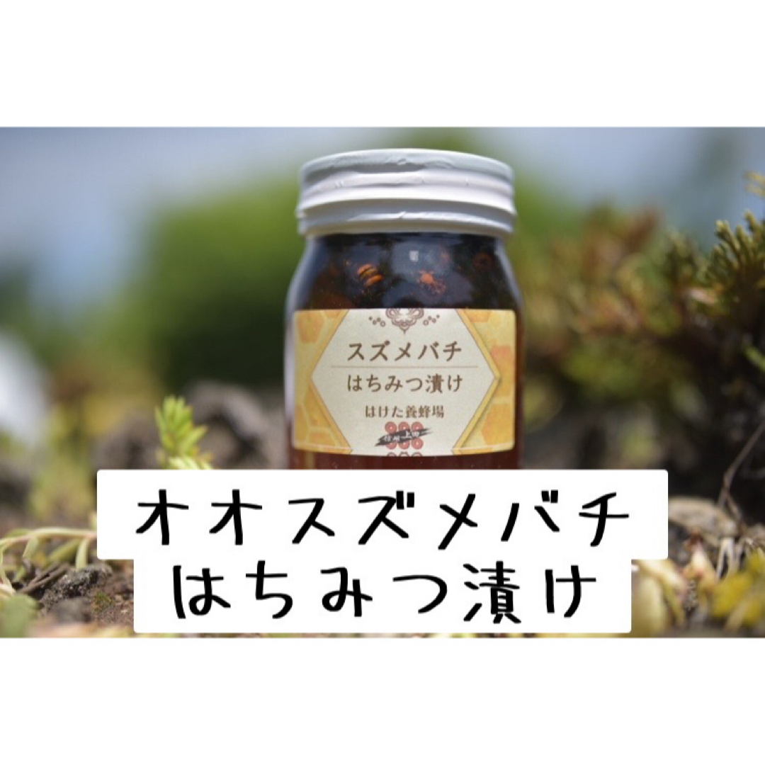 オオスズメバチ はちみつ漬け 生はちみつ 600g 国産　蜂蜜 【生産者直送】食品