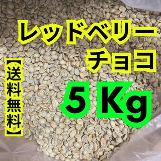 レッドベリーチョコ生豆珈琲　5Kg 送料無料(コーヒー)