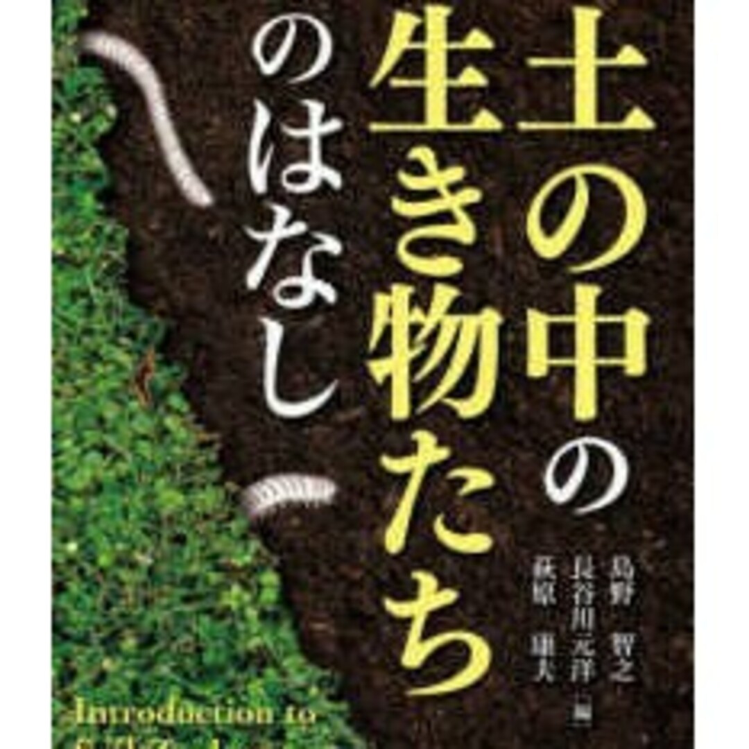 土の中の生き物たちのはなし島野智之/長谷川元洋