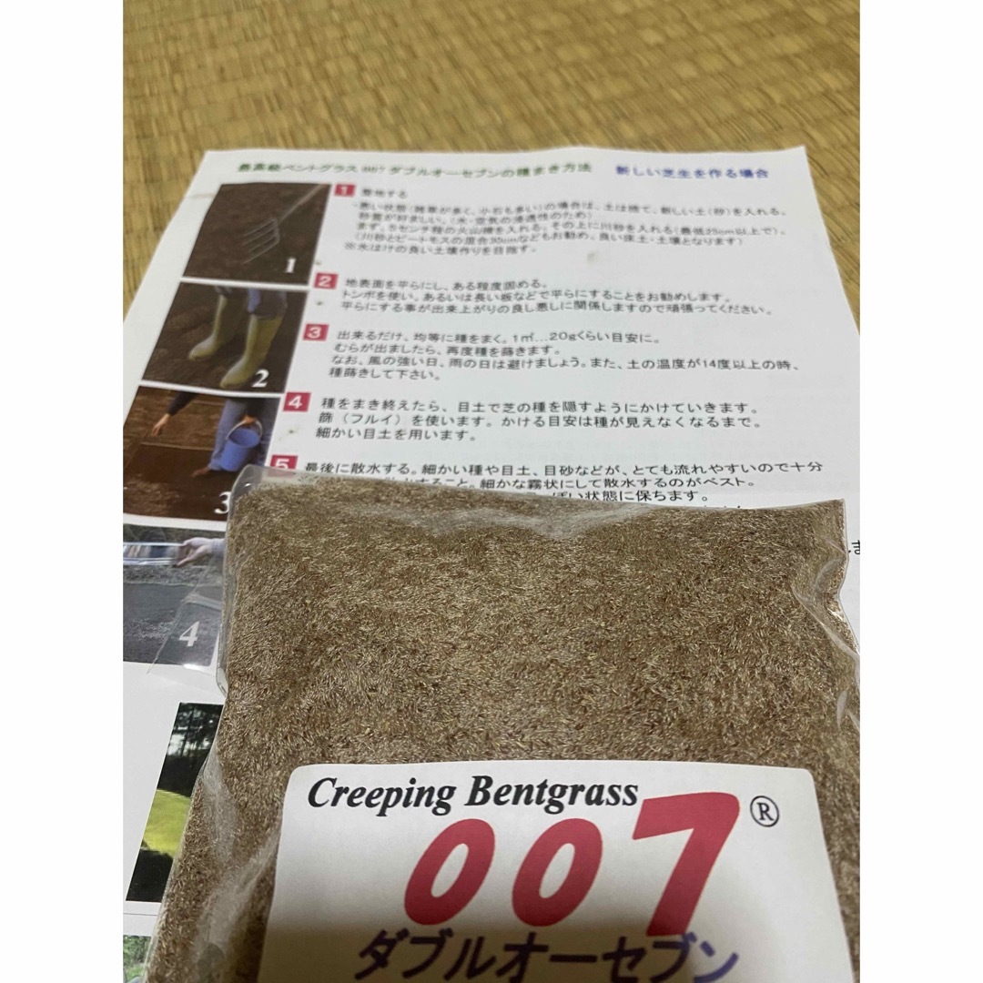 ベント芝007 最高品種　洋芝　50g 食品/飲料/酒の健康食品(その他)の商品写真