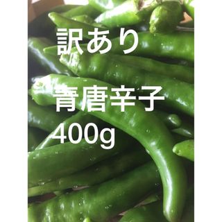 訳あり　青唐辛子　400g おまけ付き　農薬不使用(野菜)