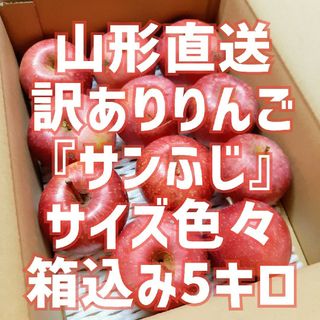 山形直送 訳ありりんご『サンふじ』サイズ色々 箱込5キロ 除草剤不使用(フルーツ)