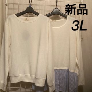 レディース　トップス　トレーナー　Tシャツ  新品　3L  大きいサイズ(トレーナー/スウェット)