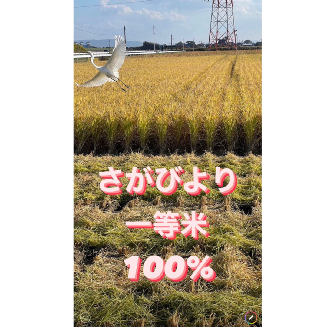 by　さがびより20k(5k×4袋)の通販　⭐️新米　⭐️佐賀県産　令和5年産1等米　どらみちゃん｜ラクマ