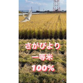 ⭐️新米 令和5年産1等米 ⭐️佐賀県産 さがびより20k(5k×4袋)(米/穀物)