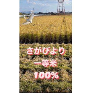 ⭐️新米 令和5年産1等米⭐️佐賀県産さがびより10k(5k×2袋)(米/穀物)