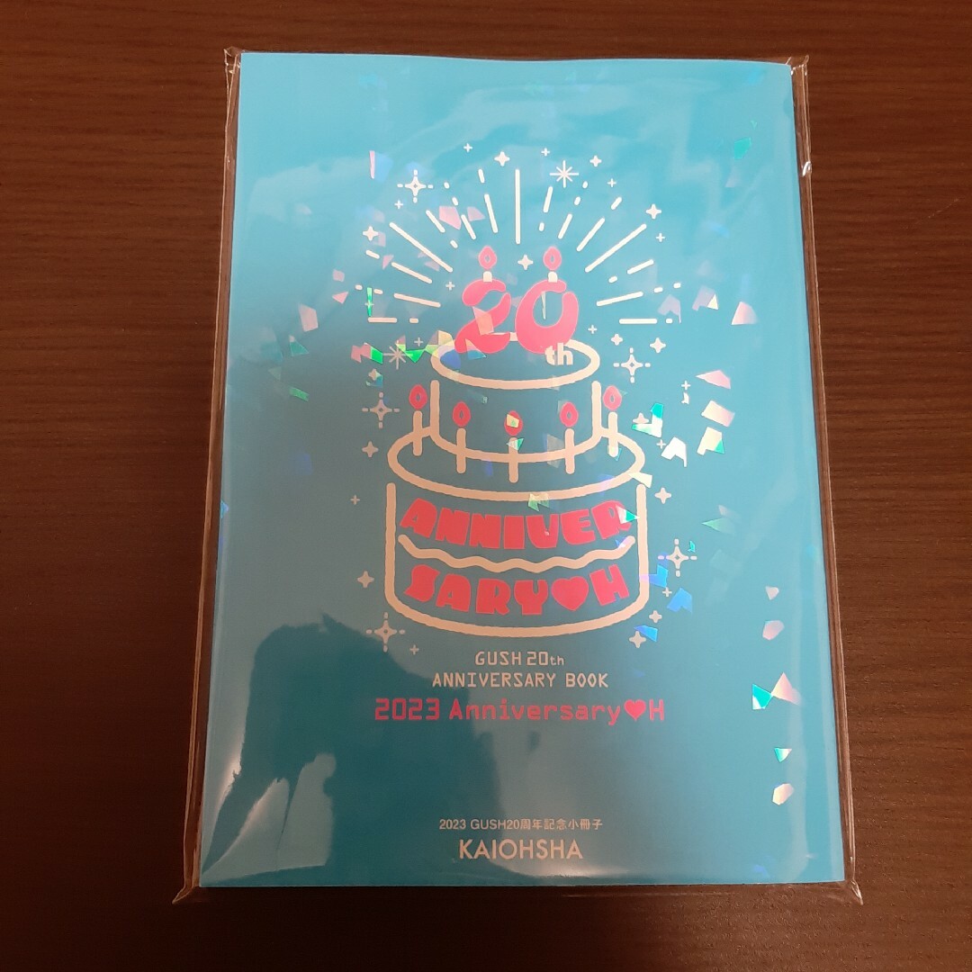 GUSH 20周年記念 小冊子 Anniversary♡H ナカまであいして