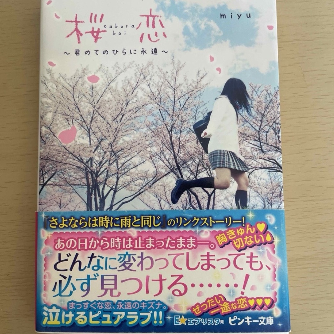 えみちゃん様専用　2冊ケータイ小説 エンタメ/ホビーの本(文学/小説)の商品写真