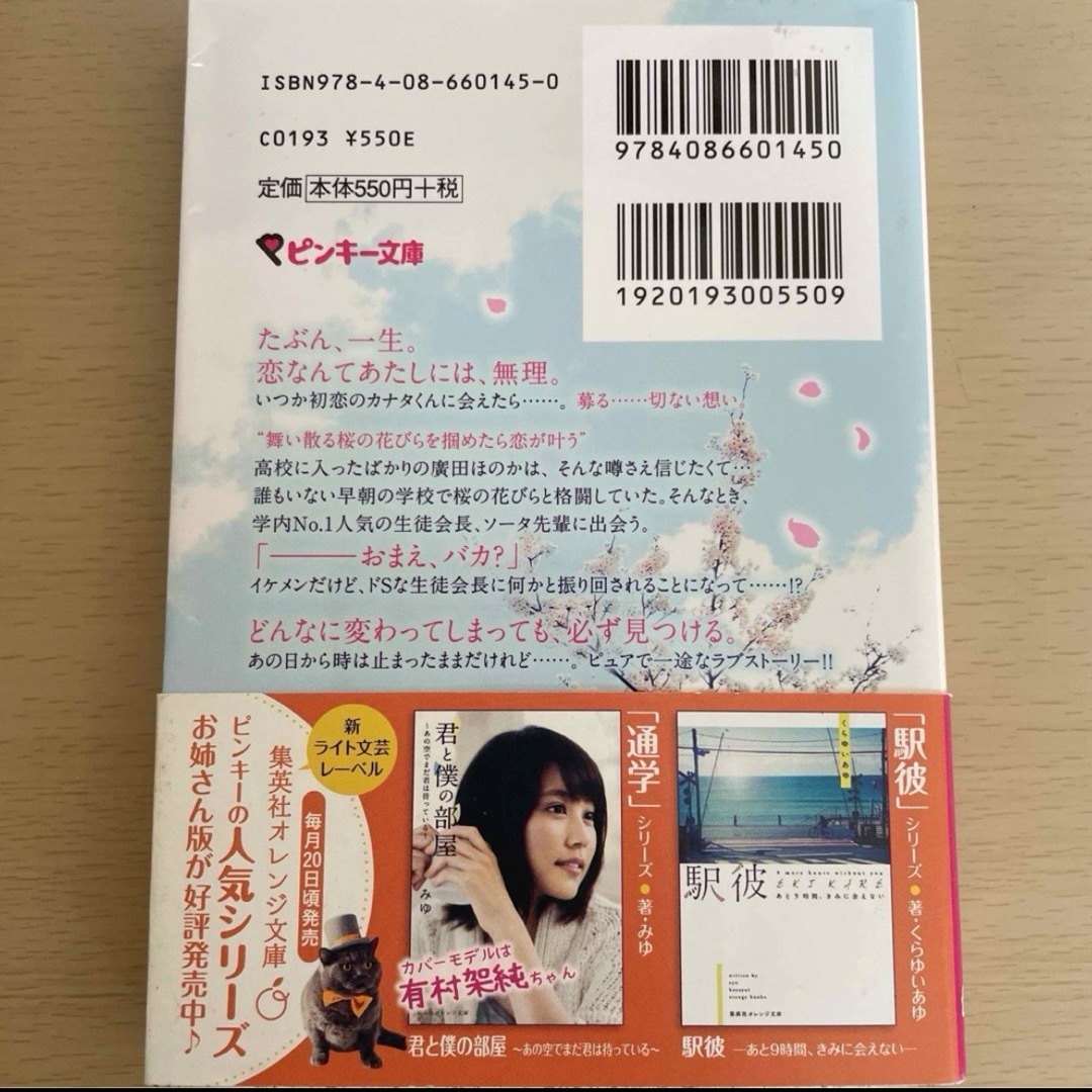 えみちゃん様専用　2冊ケータイ小説 エンタメ/ホビーの本(文学/小説)の商品写真
