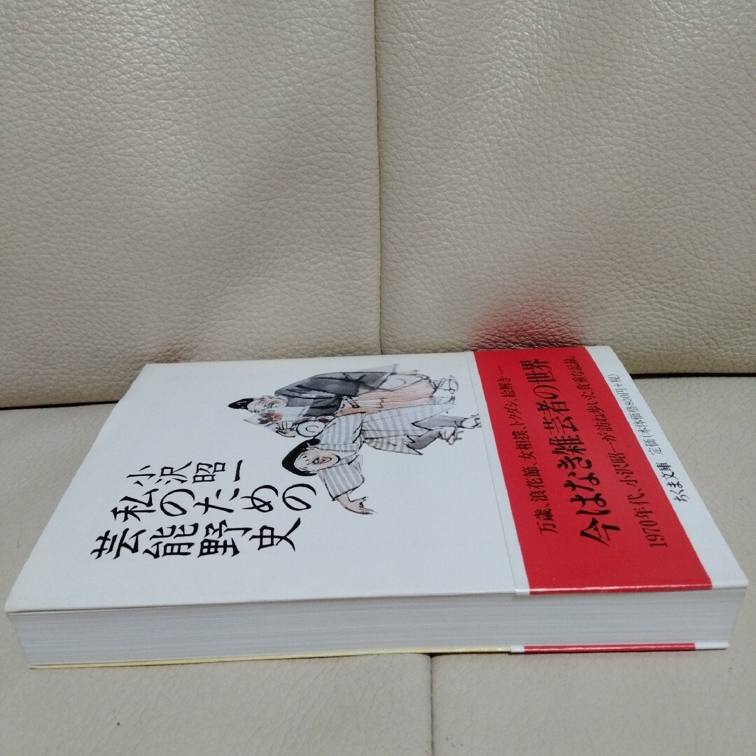 「私のための芸能野史」文庫本 エンタメ/ホビーの本(アート/エンタメ)の商品写真