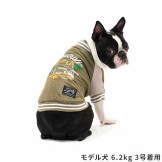 ライフライク(LIFELIKE)の値下げ！LIFELIKE   AUSスカジャン　3L(犬)