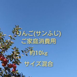 りんご(サンふじ)訳ありご家庭消費用 約10kg(フルーツ)