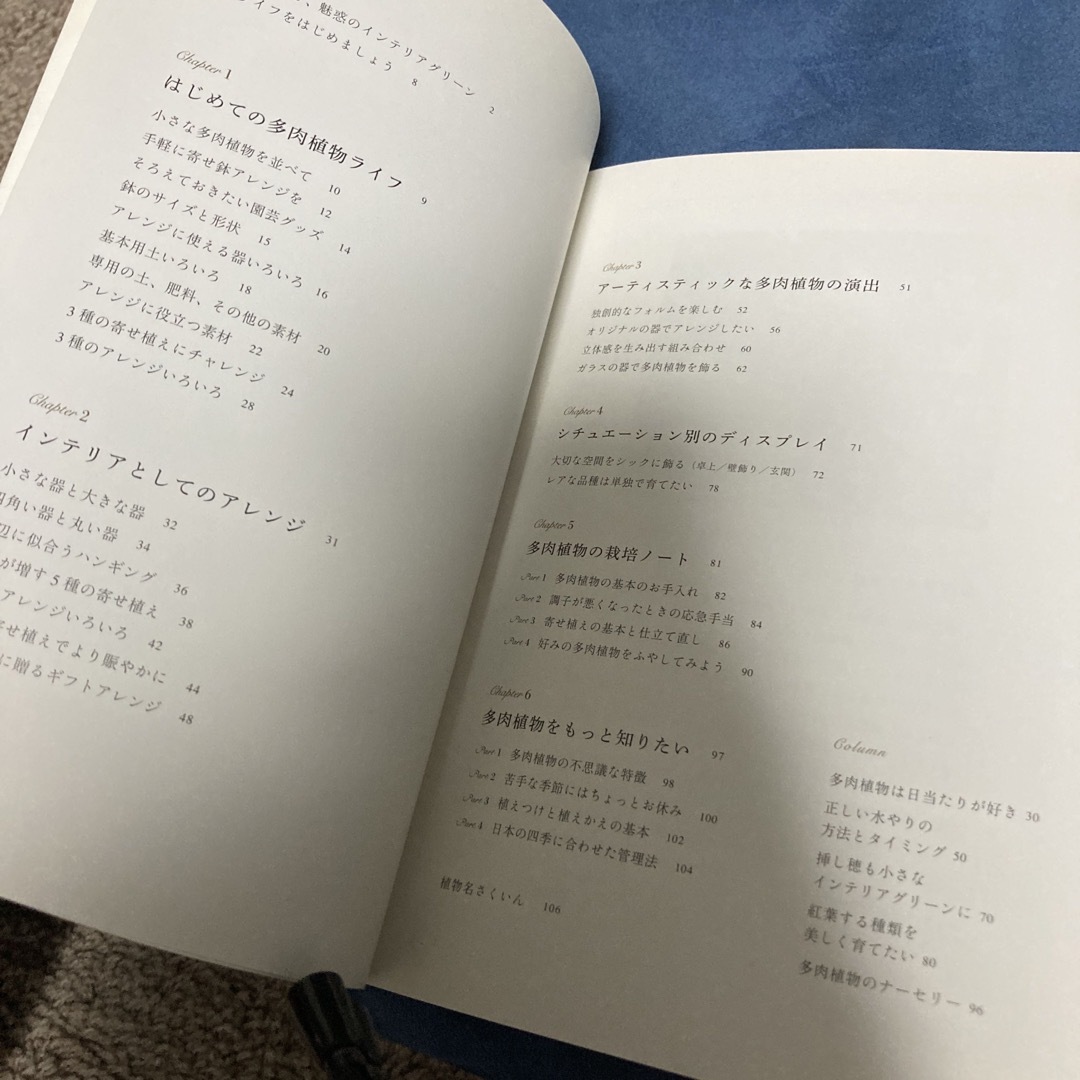 はじめての多肉植物ライフ。雑貨と一緒に楽しむ多肉植物アレンジBOOK エンタメ/ホビーの本(趣味/スポーツ/実用)の商品写真