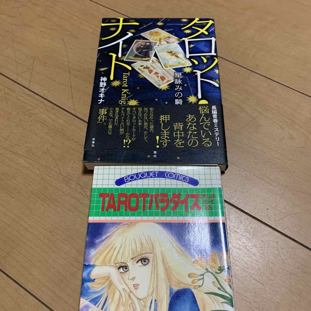 値下げ　タロット・ナイト　タロットパラダイス　セット エンタメ/ホビーの本(文学/小説)の商品写真