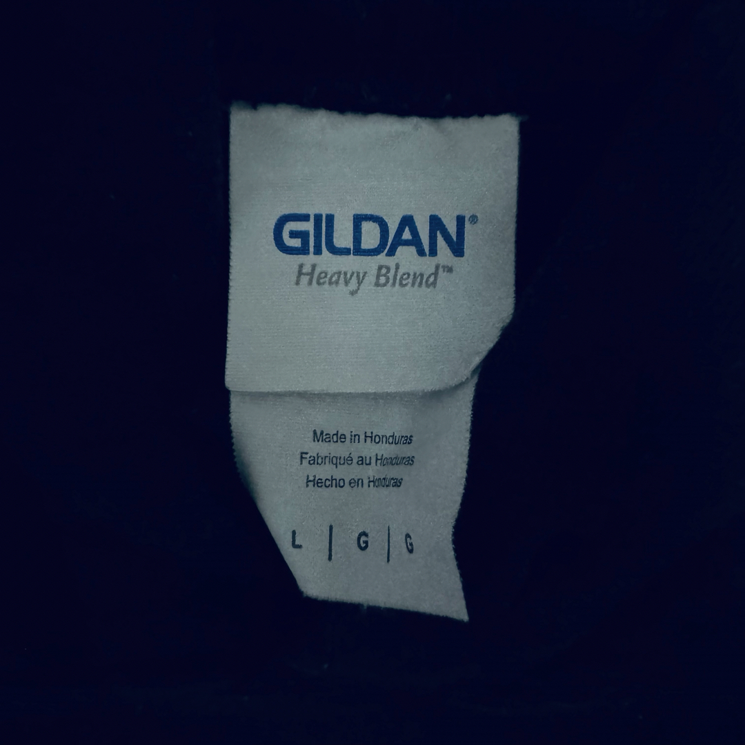 GILDAN(ギルタン)の【USA古着】 GILDAN のパーカー Lサイズ メンズのトップス(パーカー)の商品写真