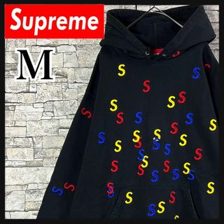 シュプリーム(Supreme)の【即完売モデル】Supreme 刺繍　Sロゴ　満載　パーカー　入手困難　希少　M(パーカー)