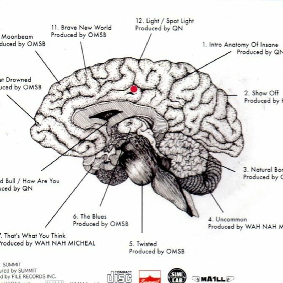 on SIMI LAB PAGE 1 ANATOMY OF INSANA エンタメ/ホビーのCD(ヒップホップ/ラップ)の商品写真