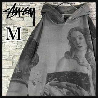 ステューシー(STUSSY)の【超希少デザイン】STUSSY ヴィーナス　総柄　パーカー　入手困難　奇抜　M(パーカー)