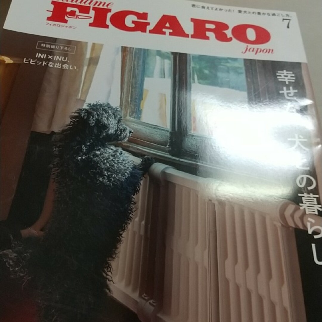 フィガロ　by　07の通販　2023年　ジャポン　傷汚れあり　ĉokolado｜ラクマ