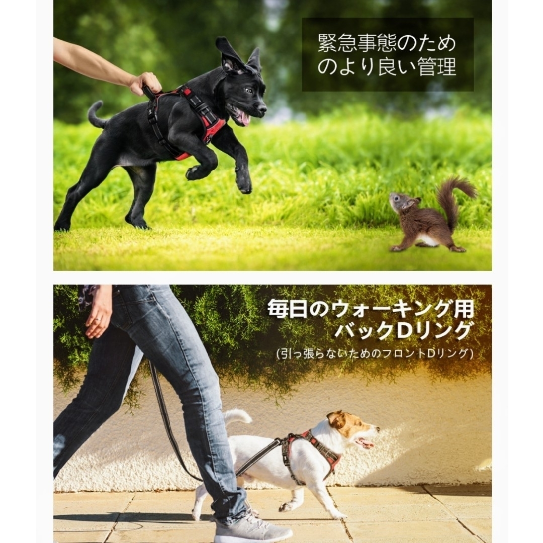 犬ハーネス 首輪 胴輪 小型犬 ソフト 安全 簡単着脱 ハンドメイドのペット(リード/首輪)の商品写真