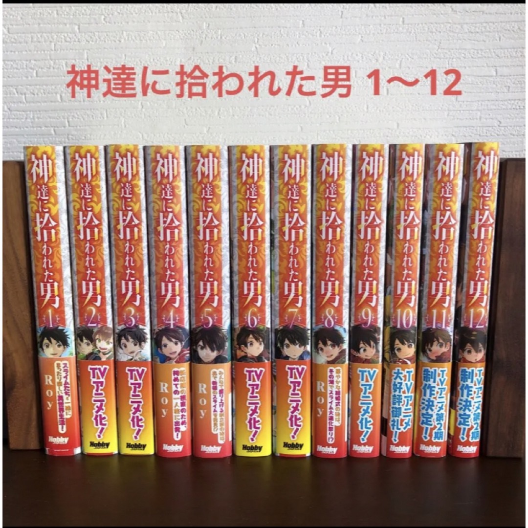 神達に拾われた男 1〜12 Roy 小説 12冊セット