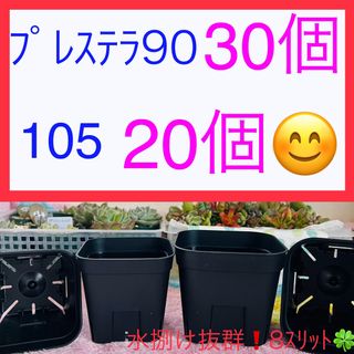 C⑥  プレステラお得ｾｯﾄ★ 【90ｻｲｽﾞ30個】【105ｻｲｽﾞ20個】(プランター)