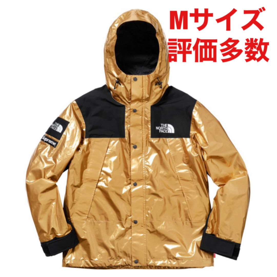 Supreme TNF Metallic Mountain Parkaマウンテンパーカー