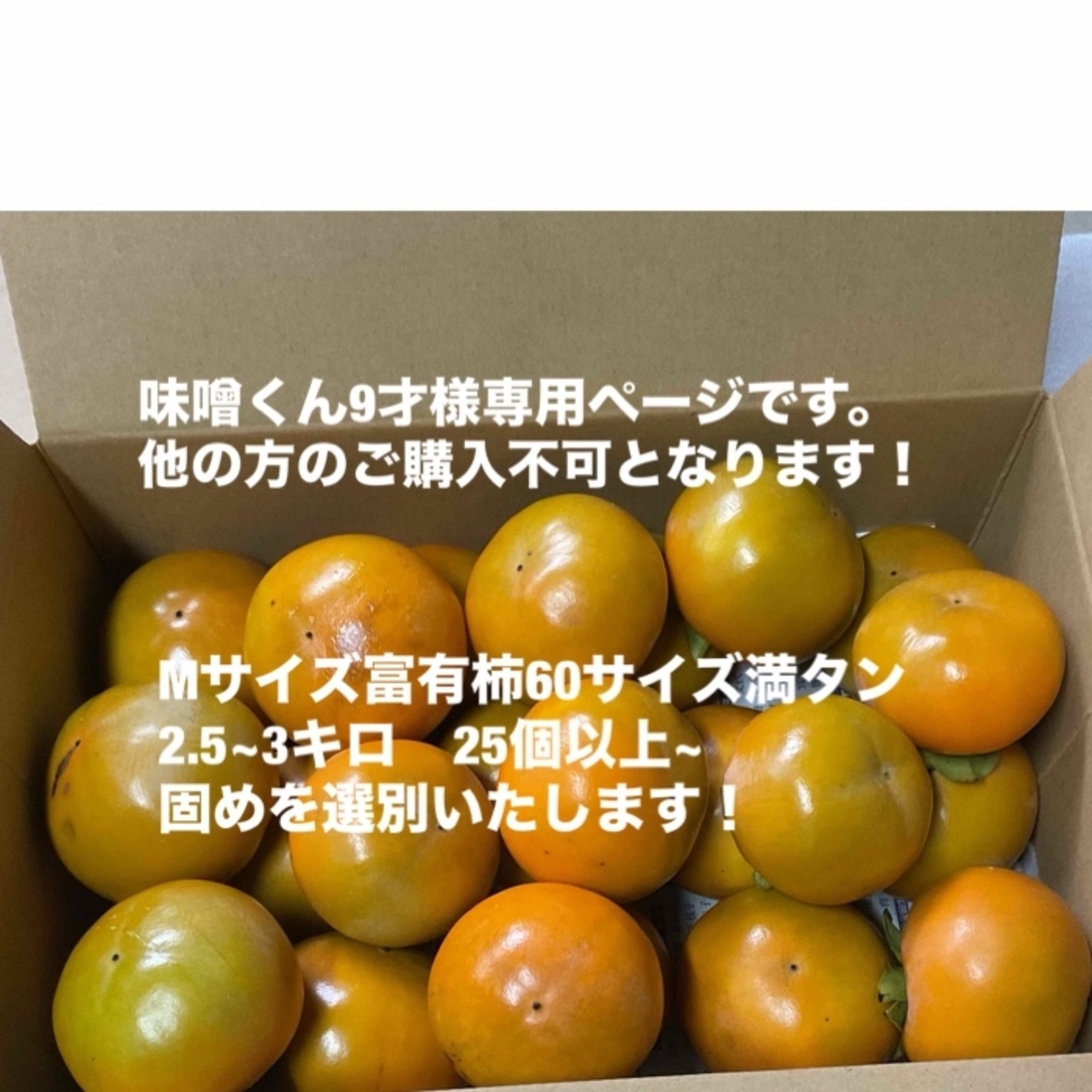 専用ページになります※購入不可です