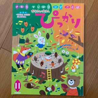 ガッケン(学研)のぴっかり　11月号(絵本/児童書)