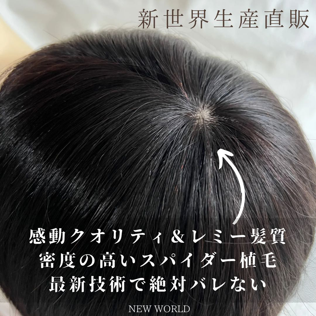 価格は安く 超人工肌総手植え+レース総手植えオールシーズンタイプ、蒸れ ウィッグ・エクステ