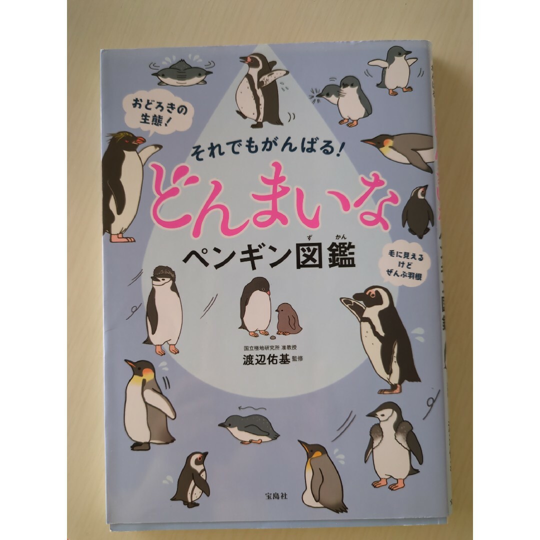 それでもがんばる！どんまいなペンギン図鑑 エンタメ/ホビーの本(絵本/児童書)の商品写真