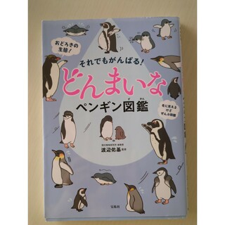 それでもがんばる！どんまいなペンギン図鑑(絵本/児童書)