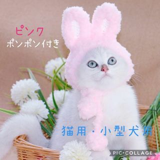 Mポンポンピンク♥ペット用うさ耳ニット帽子ピンクねこのかぶりもの猫用小型犬用(猫)