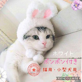 Mポンポン白♥ペット用うさ耳ニット帽子ホワイトねこのかぶりもの猫用小型犬用うさぎ(猫)