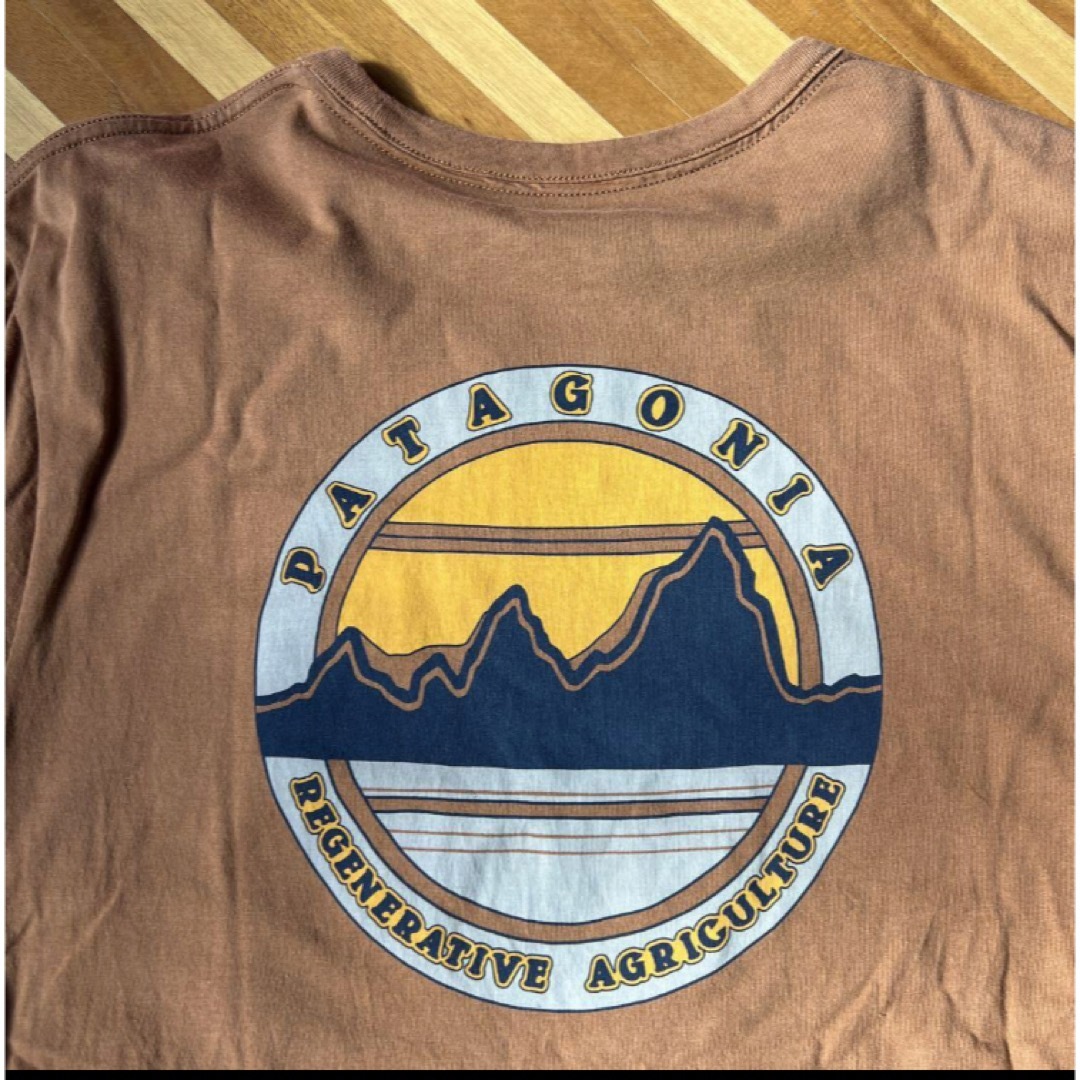patagonia(パタゴニア)の【Patagonia】ロゴTシャツ メンズのトップス(Tシャツ/カットソー(半袖/袖なし))の商品写真