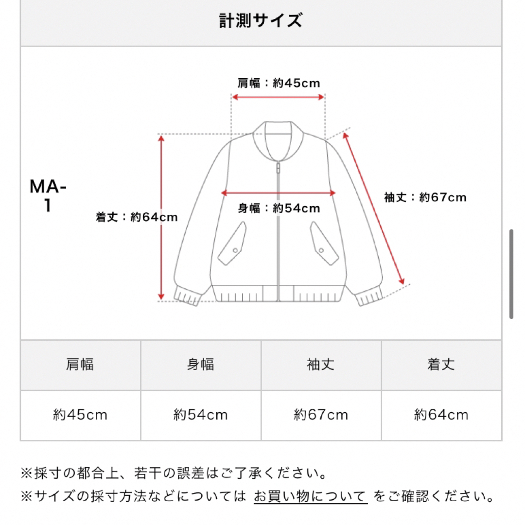 AVIREX(アヴィレックス)のMA-1 CIVIL AIR PATROL メンズのジャケット/アウター(ミリタリージャケット)の商品写真