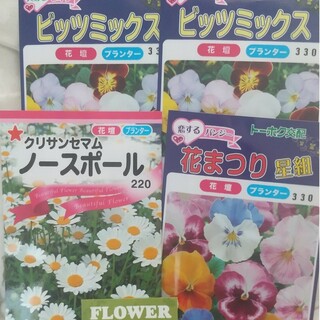 お花の種セット(その他)