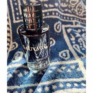 ディオール(Dior)のDior SAUVAGE(ソヴァージュ) オードゥトワレ　100ml(香水(男性用))