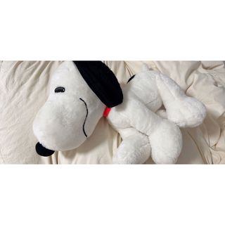 スヌーピー(SNOOPY)のSNOOPY( ･ ´｀(●)ぬいぐるみ(ぬいぐるみ)