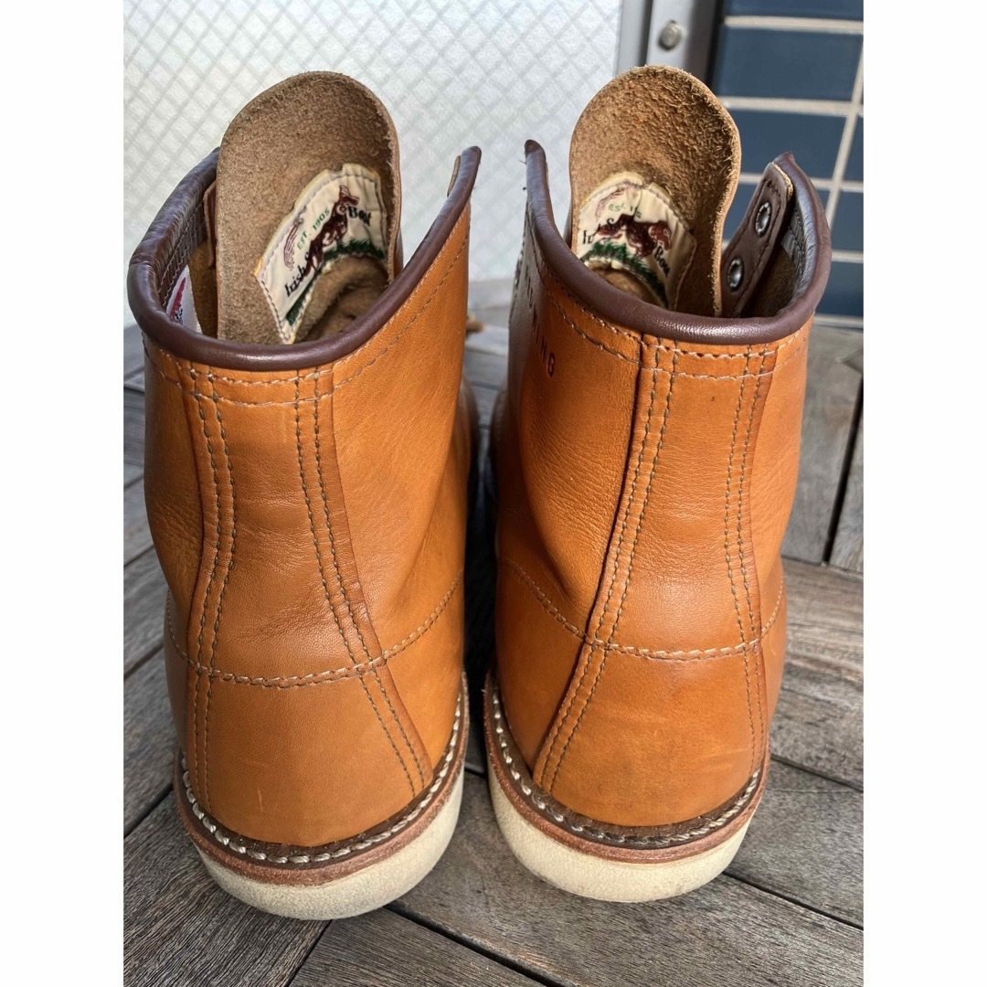 REDWING - レッドウィングREDWINGアイリッシュセッター 9875 犬 REDWING - レッドウィングREDWINGアイリッシュセッター 9875 犬