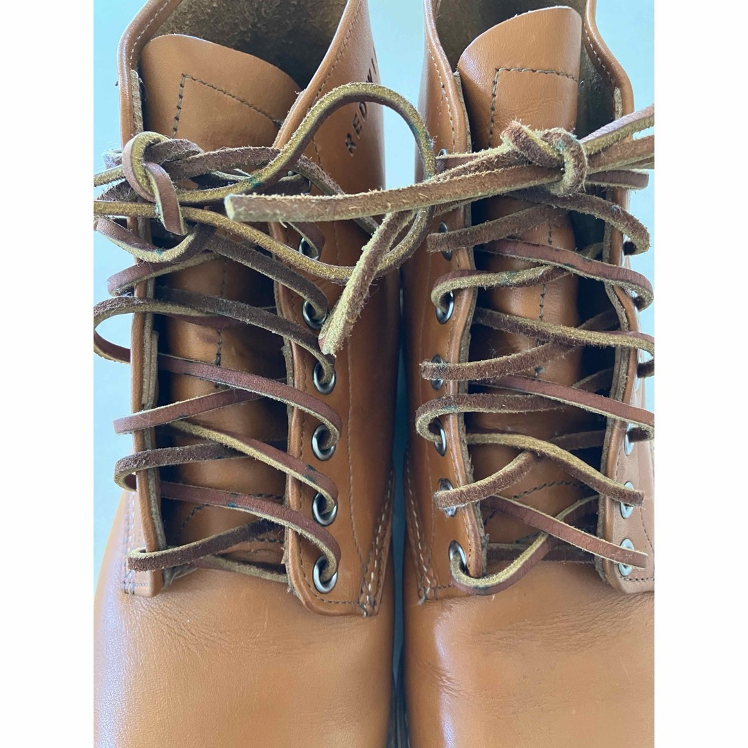 REDWING - レッドウィングREDWINGアイリッシュセッター 9875 犬 REDWING - レッドウィングREDWINGアイリッシュセッター 9875 犬