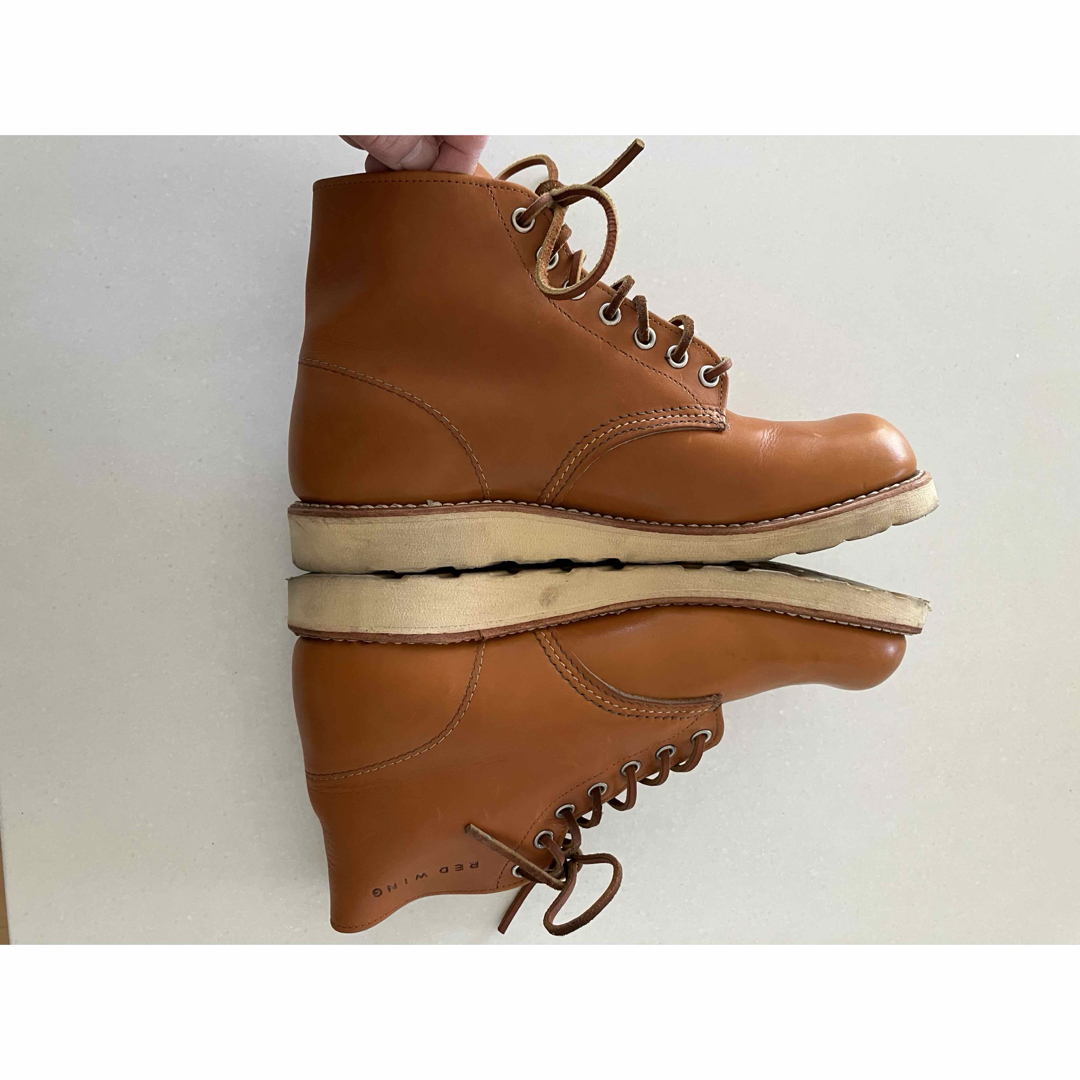 REDWING - レッドウィングREDWINGアイリッシュセッター 9875 犬 REDWING - レッドウィングREDWINGアイリッシュセッター 9875 犬