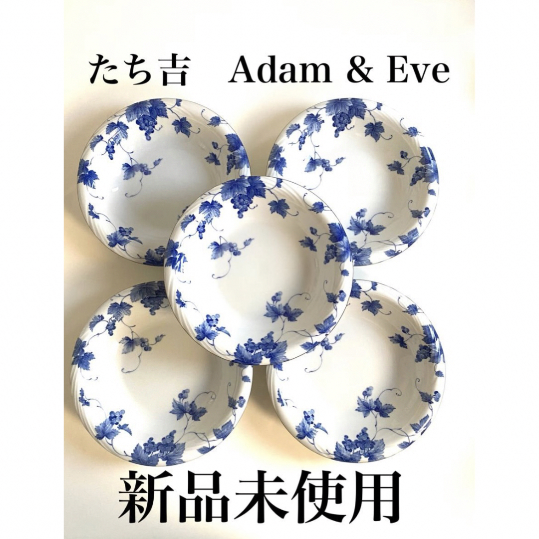 たち吉(タチキチ)の【新品未使用】たち吉 Adam ＆ EVE 大皿 5枚セット ブルー インテリア/住まい/日用品のキッチン/食器(食器)の商品写真